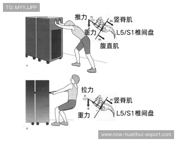 运动康复：顶级运动员康复案例分享与科学恢复方法，运动员康复训练费用一般多少